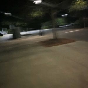 Meet your Posher, Lila